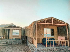 Sinai Life Beach Camp